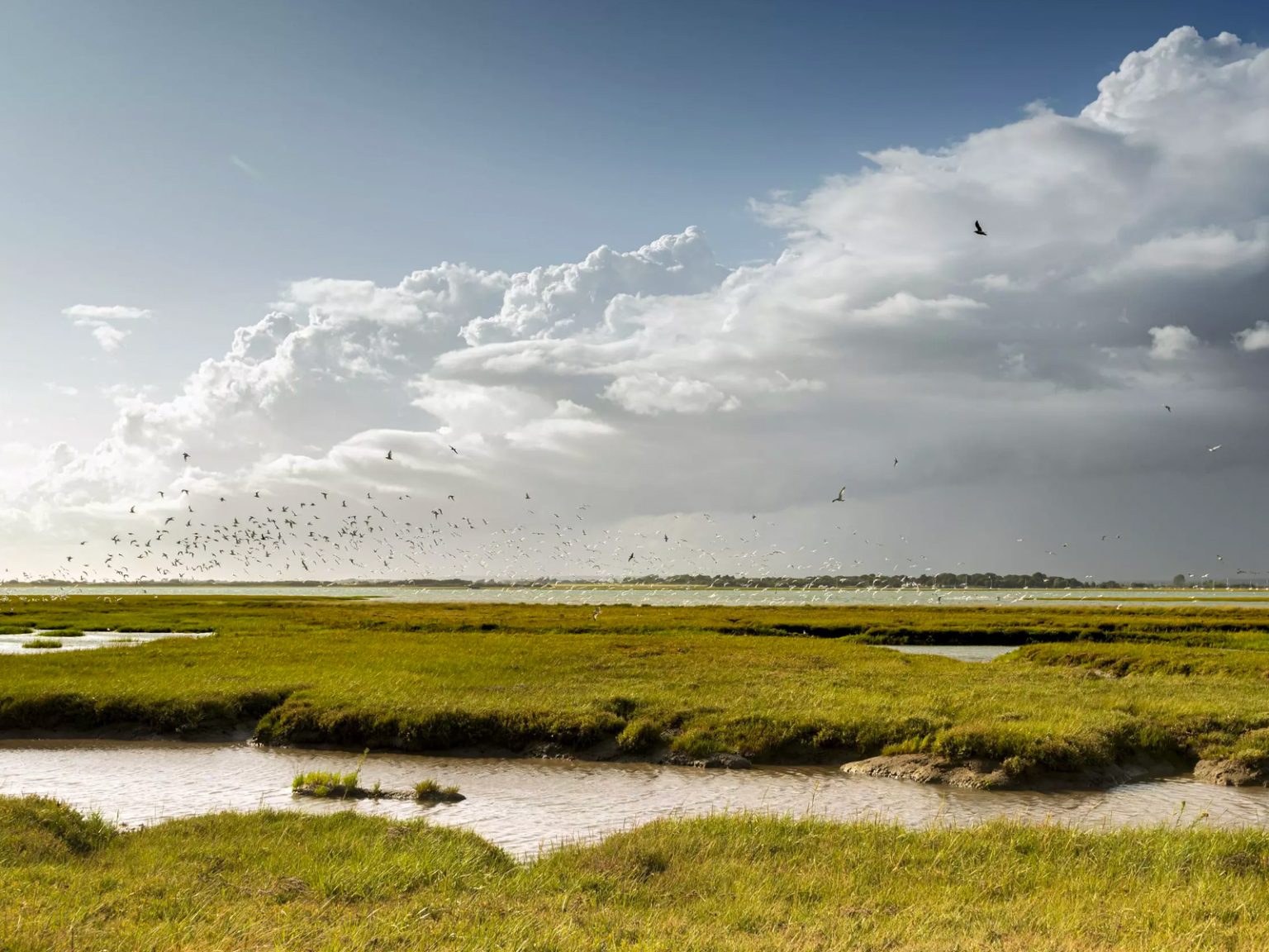 Home - Solent Seascape