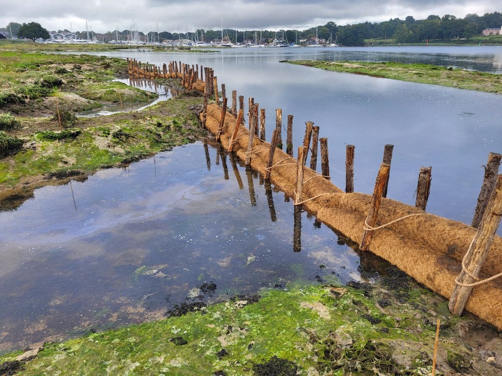 Coir rolls with wooden stakes around them in the creek at high tide.